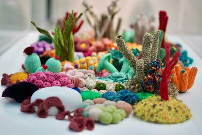 Une exposition de coraux crochetés, l'œuvre de l'artiste suisse Rosanna Baledda. // bibliothèque des Eaux-Vives // Du 1er au 30 novembre 2024 // tout public// dans le cadre de la semaine du climat