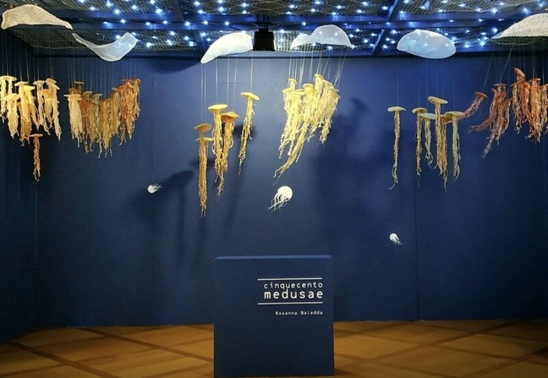 L’Uni Mail s’est transformée en aquarium le temps d’une exposition dédiée au monde marin