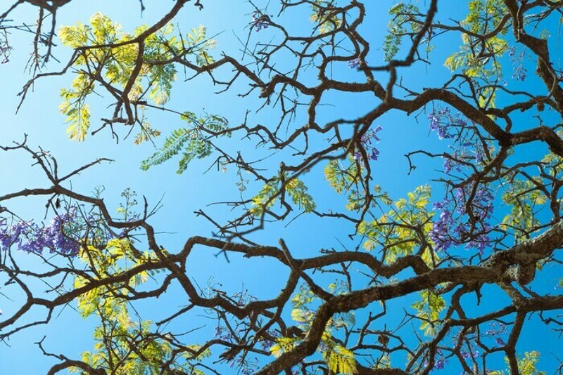 Envie de découvrir la biodiversité et comment la préserver dans l' assiette? Venez participer aux mini ateliers de sensibilisation au restaurant Amarante du Jardin Botanique.