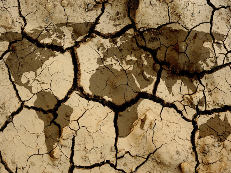 Cette conférence organisée le 24 novembre 2025 à 12h30 par Fair Trade Town Genève dans le cadre de la Semaine du climat 2025 explorera les liens entre urgence écologique et inégalités sociales.